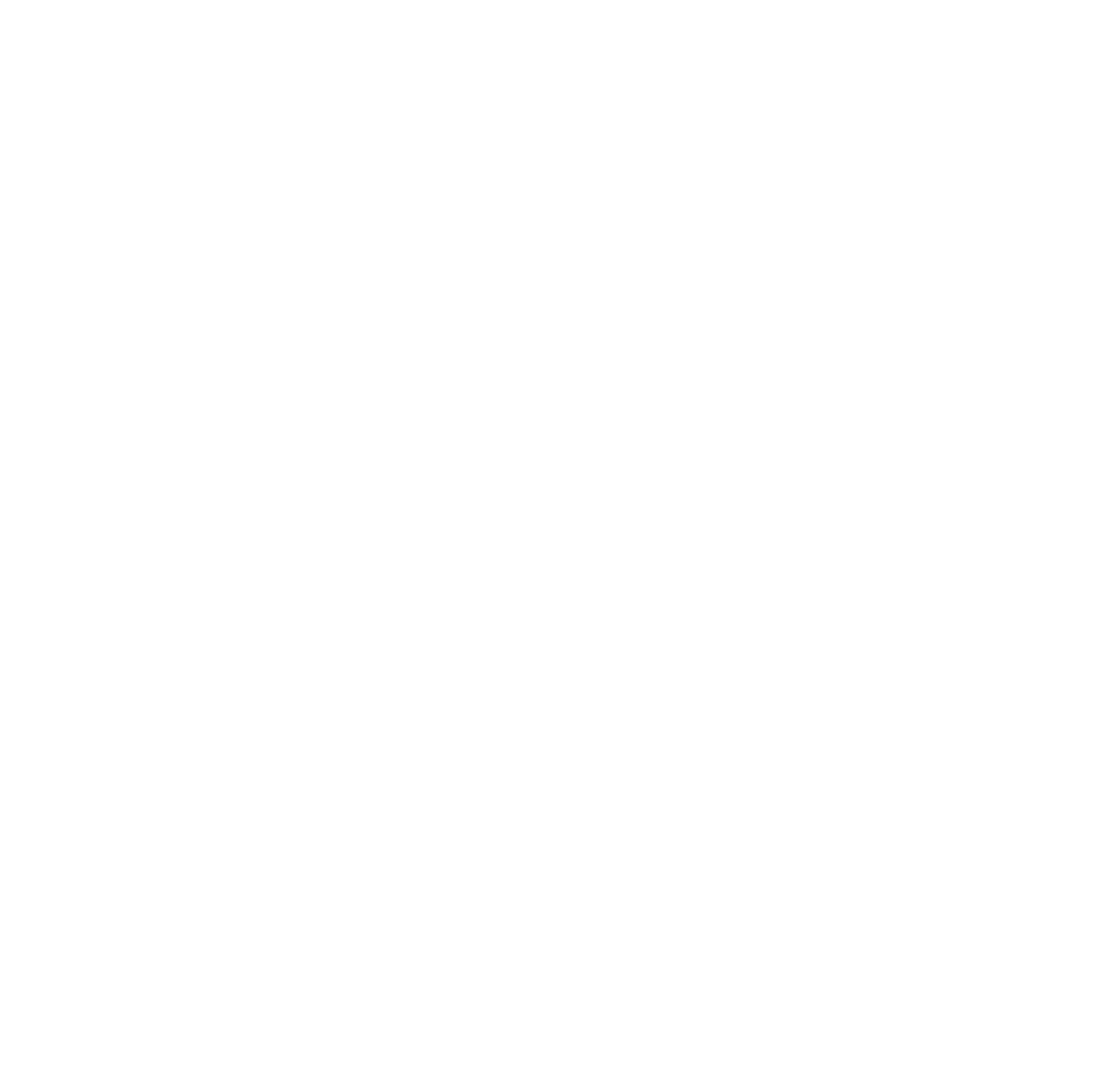 IMAGIMATA Logo